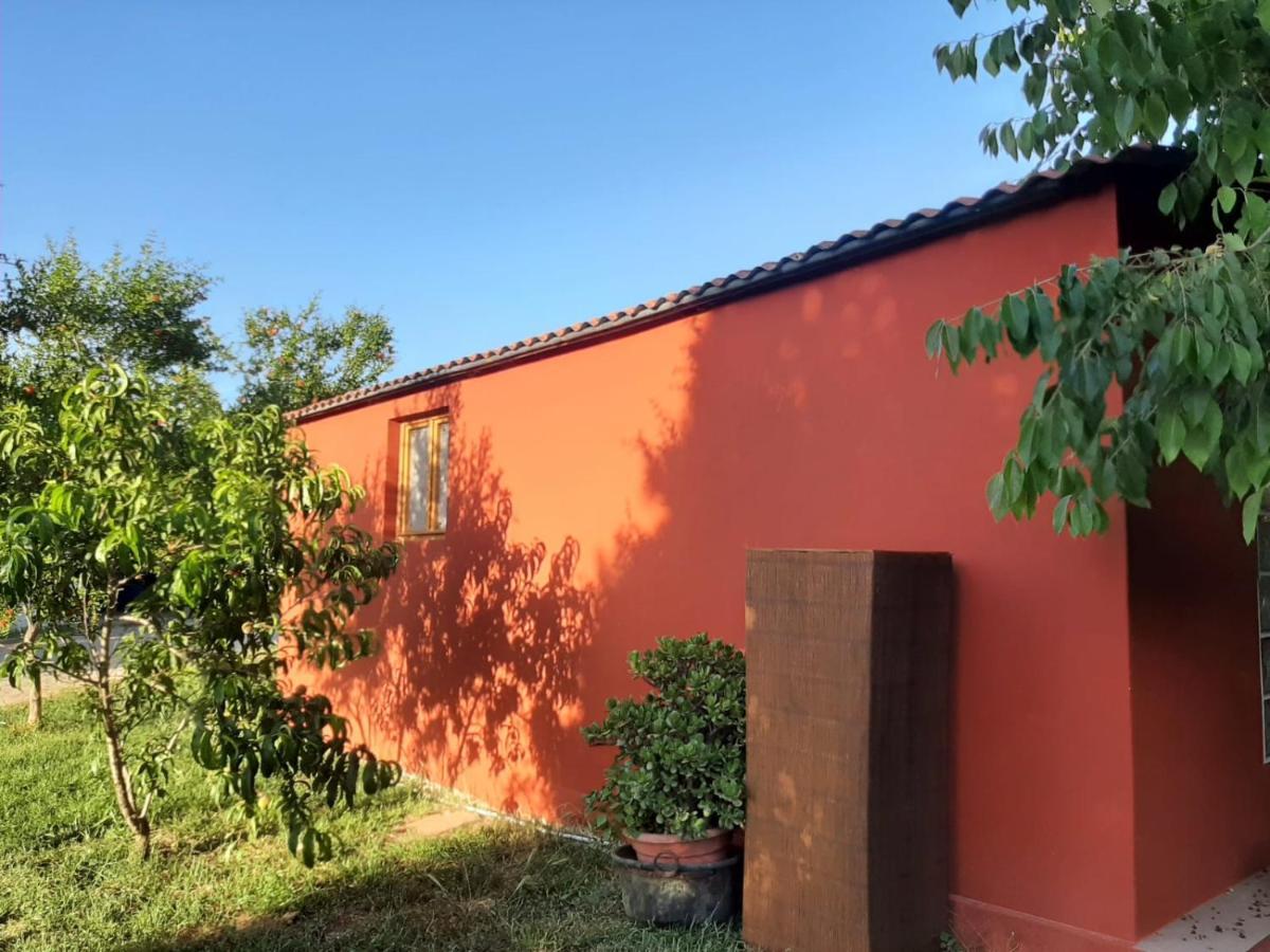 Casa Di Campagna Dal Pozzo Sorso Exteriér fotografie