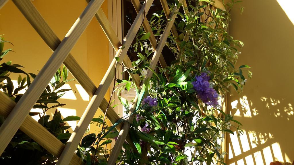 Casa Di Campagna Dal Pozzo Sorso Pokoj fotografie