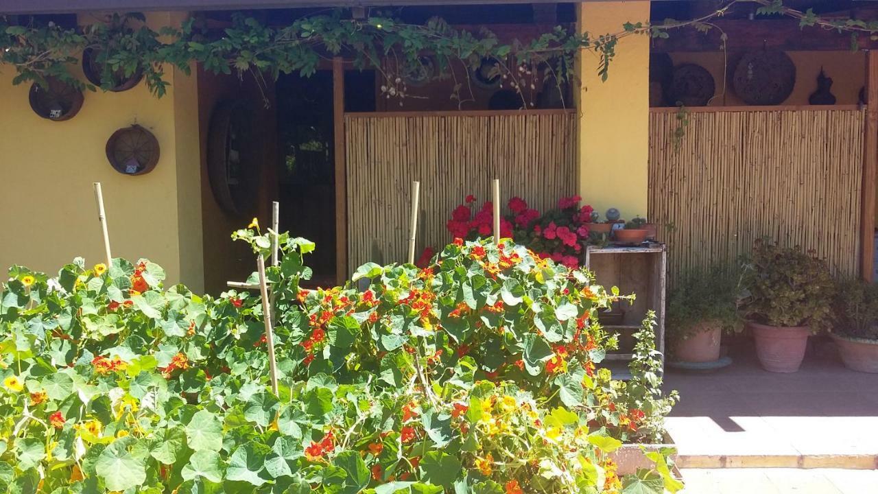 Casa Di Campagna Dal Pozzo Sorso Exteriér fotografie